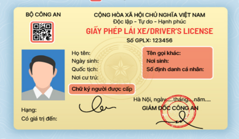 Hướng dẫn tra cứu thông tin GPLX