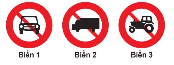 câu 17