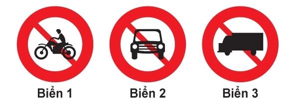 câu 19